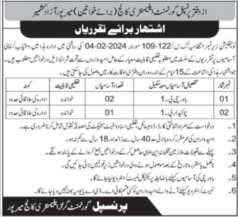 Elementary College For Women Jobs Mirpur 2024 Apply